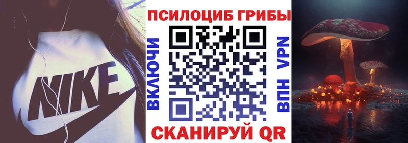 Галлюциногенные грибы Psilocybine cubensis  Полтавская 